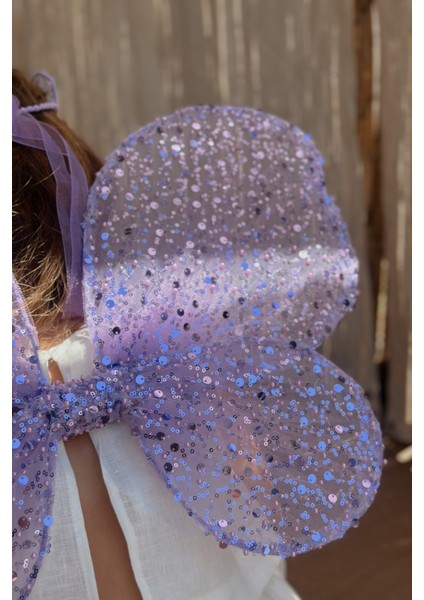 Lila Pullu Boncuklu 3'lü Kelebek Kanat Asa Taç Set modelleri