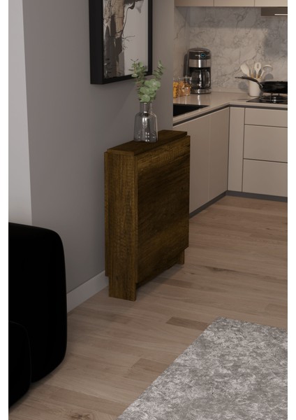 DF01109BR Portatif Pratik Katlanır Masa Mutfak ve Yemek Masası modelleri