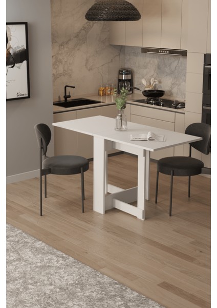 DF01109B Portatif Pratik Katlanır Masa Mutfak ve Yemek Masası