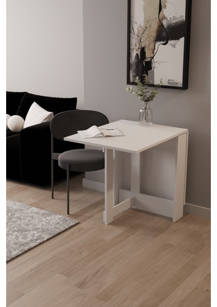 DF01109B Portatif Pratik Katlanır Masa Mutfak ve Yemek Masası fiyatları