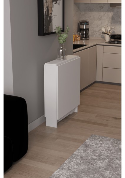 DF01109B Portatif Pratik Katlanır Masa Mutfak ve Yemek Masası modelleri