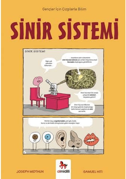 Sinir Sistemi - Gençler İçin Çizgilerle Bilim - Joseph Midthun