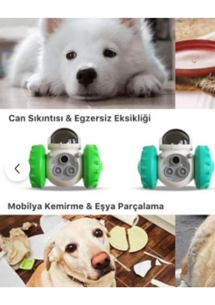 Yeni Nesil Kedi ve Köpek Interaktif Mama Dağıtıcı Ödül Maması Atıcı Robot modelleri