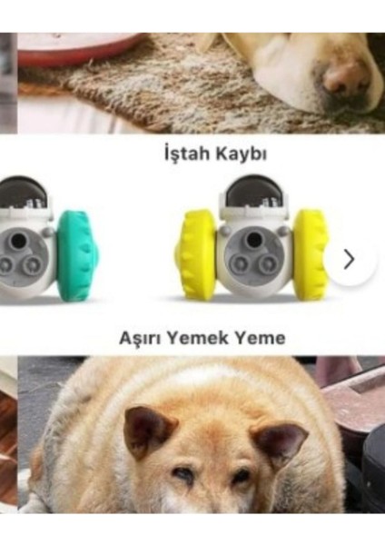 Yeni Nesil Kedi ve Köpek Interaktif Mama Dağıtıcı Ödül Maması Atıcı Robot fırsatları