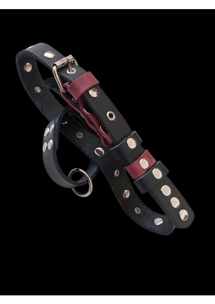 Köpek Boyun Tasması Battal Boy Büyük Irk Siyah Deri Boyun ölçüsü:30-60cm Ayarlamalı Dog Collor T1-31 fiyatları