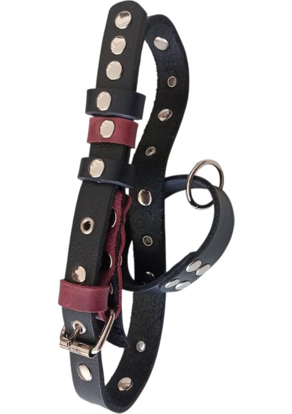 Köpek Boyun Tasması Battal Boy Büyük Irk Siyah Deri Boyun ölçüsü:30-60cm Ayarlamalı Dog Collor T1-31 fırsatları