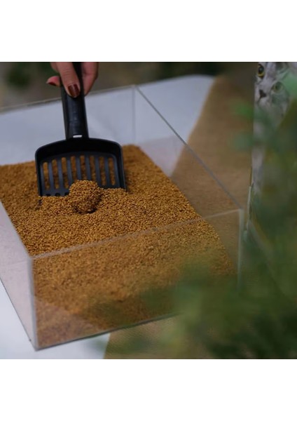Zeytin Çekirdeğinden Üretilen Doğal Tozsuz Kedi Kumu 7L modelleri