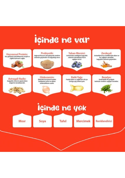 Tahılsız Sığır Etli Yetişkin Köpek Maması 1.5 kg modelleri