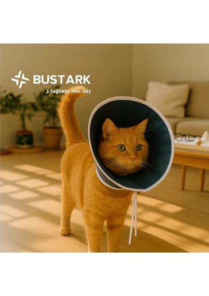 Kedi Bez Yakalık - 5 Adet fiyatları