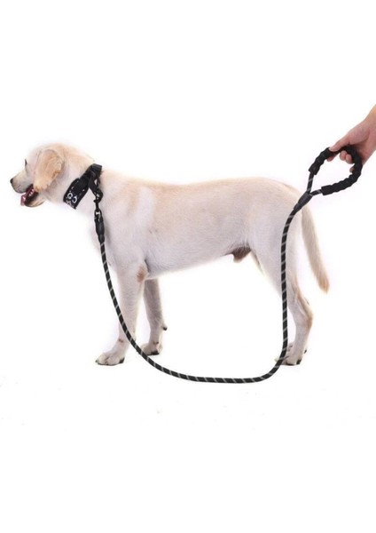 Köpekler Için Gezdirme Tasması Reflektörlü 130 cm Halat Orta ve Büyük Boy Köpekler Için Siyah fiyatları