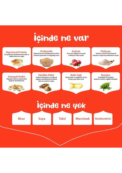 Tahılsız Tavuklu Yavru Kedi Maması 1.5 kg modelleri