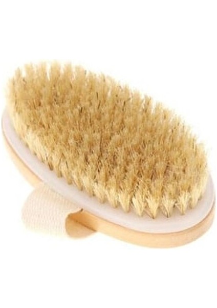 %100 Doğal At Kılı Fırçası Selülit, Çatlak, Batık, Karşıtı Peeling Etkili Kuru Fırça fiyatları