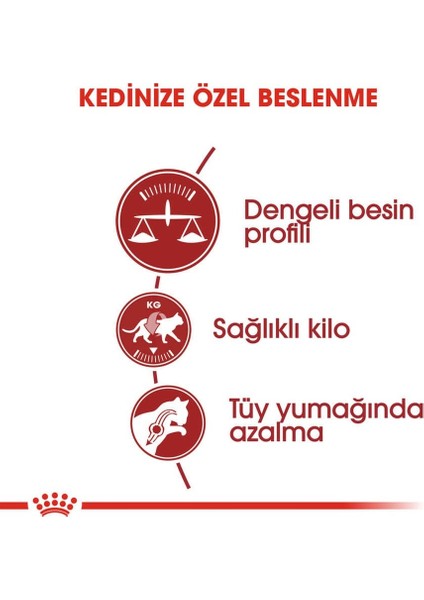 Fit 32 Kuru Kedi Maması 15 Kg