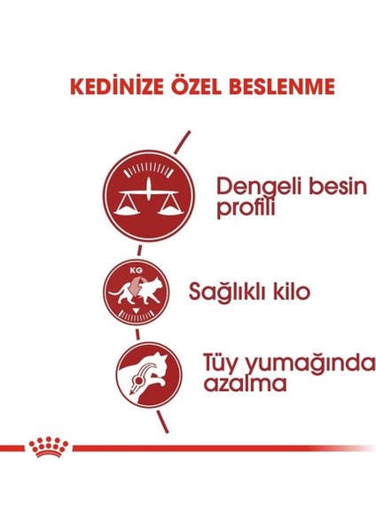 Fit32 Yetişkin Kuru Kedi Maması 400g