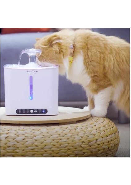 Aclium Sensörlü Kedi Su Sebili 2,4 Lt modelleri