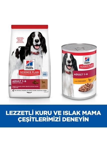 Advanced Fitness Kuzulu ve Pirinçli Orta Irk Yetişkin Köpek Maması 14 kg