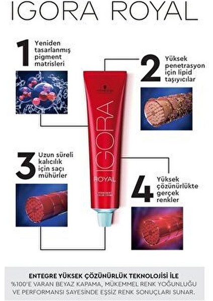 Royal Amonyaksız Saç Boyası Açık Kumral Bej 60 ml Uzun Süre Kalıcı Renk modelleri