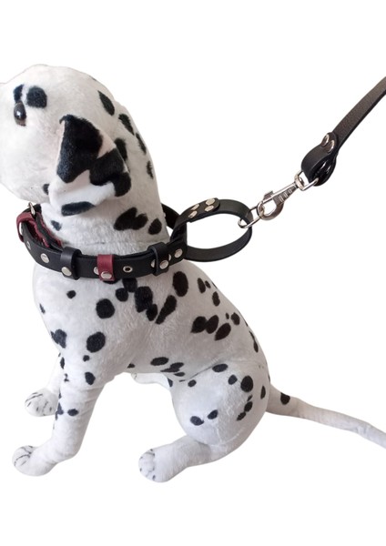 Köpek gezdirme kayışı boyun tasmalı Set battal boy siyah deri zımbalı boyun ölçüsü:30-60cm ayarlamalı gezdirme kayışı:110cm Tb1-5 indirimleri