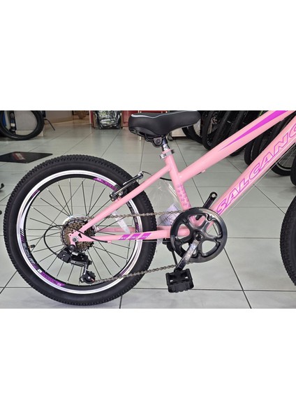 Lily 20 Jant Vitesli Kız Çocuk Bisikleti (120-145 cm Boy) fiyatları