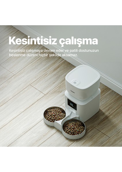 Akıllı Çift Hazneli Beyaz Mama Kabı, Ultra Sessiz Su Şelalesi, Yedek Su Filtresi ve İç Mekan Kamera 4'lü Pet Seti fırsatları