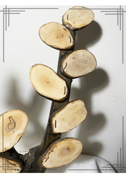 Öğretmene En Özel Hediye Zeytin Ağacından Yapılmış Isimli Sınıf Ağacı modelleri