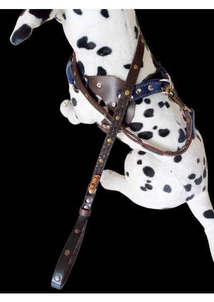 Köpek göğüs tasması gezdirme kayışlı takım deri-kot kombineli göğüs ölçüsü:45-75cm ayarlamalı kayış:125cm Tb1-6