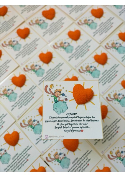 25 Adet Tohumlu Kart Karne Okula Hoşgeldin fırsatları