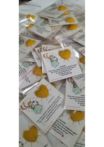 25 Adet Tohumlu Kart Karne Okula Hoşgeldin