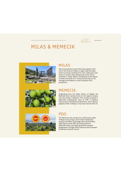 İKİLİ SET Yeşil Seri 250 ml X2 Ab Coğrafi Işaretli Milas Memecik Erken Hasat Soğuk Sıkım Zeytinyağı Dengeli Meyvemsi