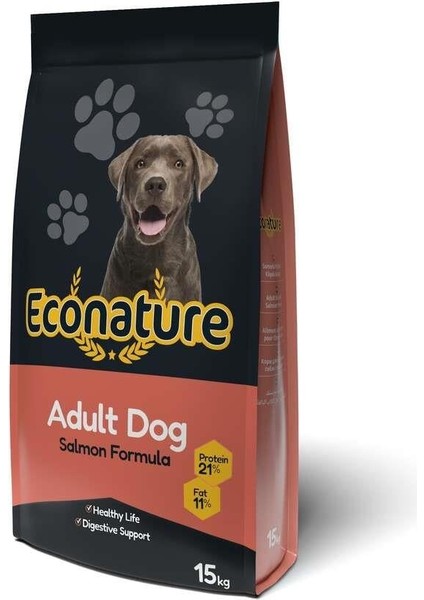 Somon Balıklı Yetişkin Köpek Maması 15 Kg fırsatları