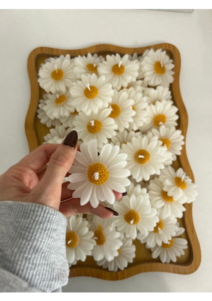 Süslemeli Papatya 15 Adet , Nikah Şekeri, Doğum, Sünnet, Düğün Nişan Söz, Kına, Doğum Günü. modelleri