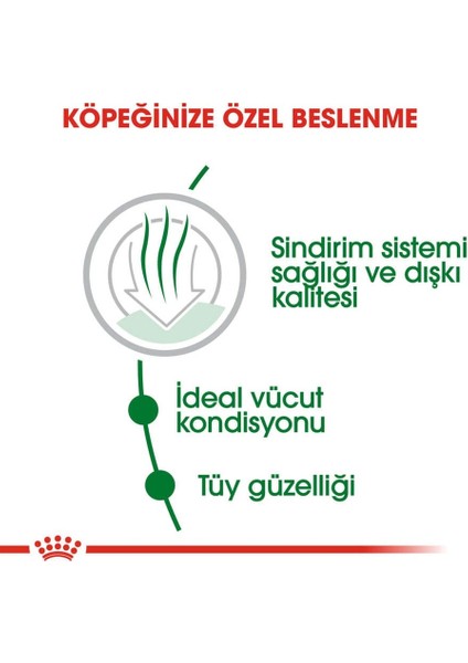 Mını Indoor Adult Küçük Irklar Için Indoor Yetişkin Kuru Köpek Ma