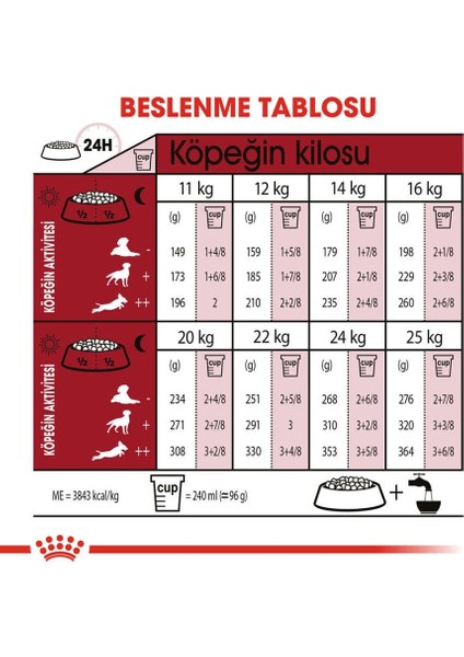 Medium Adult Yetişkin Köpek Maması 15 Kg