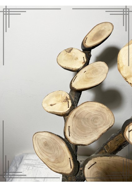 Öğretmenler Gününe Özel Sınıf Ağacı Hediyesi Zeytin Ağacından Yapılmış Tasarım fiyatları