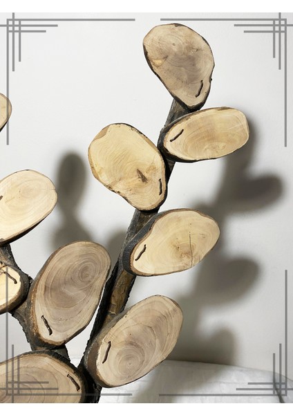 Öğretmenler Gününe Özel Sınıf Ağacı Hediyesi Zeytin Ağacından Yapılmış Tasarım modelleri