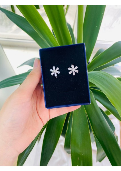 Kar Tanesi Paslanmaz Çelik Kadın Küpe