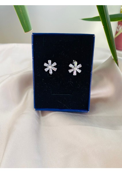 Kar Tanesi Paslanmaz Çelik Kadın Küpe fiyatları