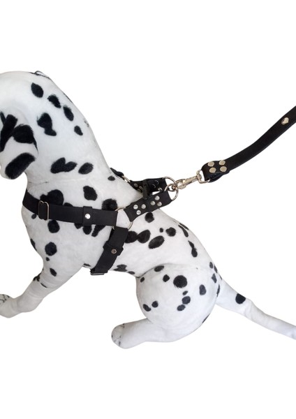 Köpek göğüs tasması gezdirme kayışlı takım siyah hakiki deri göğüs ölçüsü:40-7cm ayarlamalı kayış:110cm Tb1-7 fiyatları
