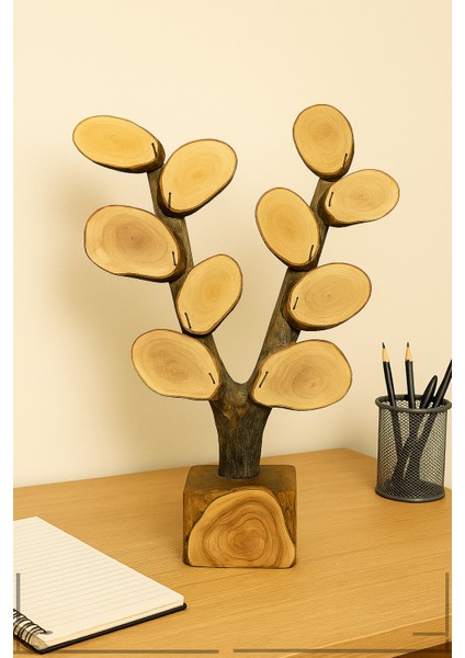 Öğrenci Isimli Zeytin Ağacından Sınıf Ağacı Öğretmene Hediye