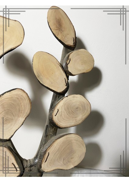 Öğrenci Isimli Zeytin Ağacından Sınıf Ağacı Öğretmene Hediye fiyatları