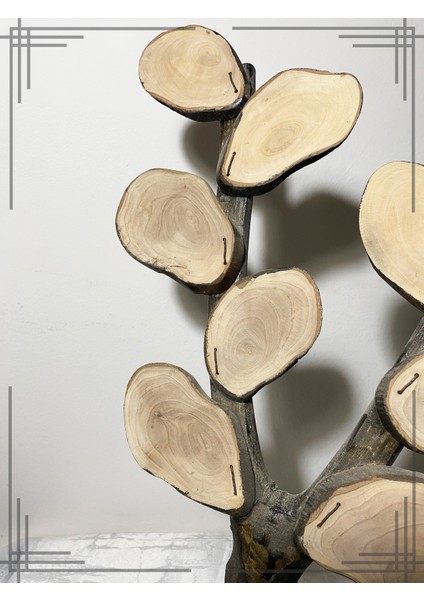 Öğrenci Isimli Zeytin Ağacından Sınıf Ağacı Öğretmene Hediye modelleri