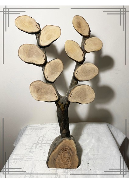 Öğrenci Isimli Zeytin Ağacından Sınıf Ağacı Öğretmene Hediye fırsatları