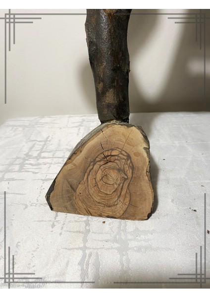 Öğrenci Isimli Zeytin Ağacından Sınıf Ağacı Öğretmene Hediye indirimleri