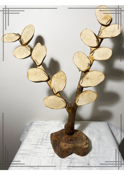 Öğretmenler Gününe Özel Tasarım Öğrenci Isimli Zeytin Ağacı fiyatları