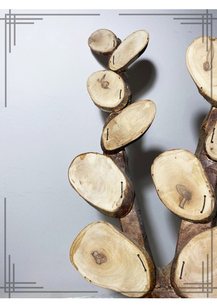 Öğretmenler Gününe Özel Tasarım Öğrenci Isimli Zeytin Ağacı modelleri