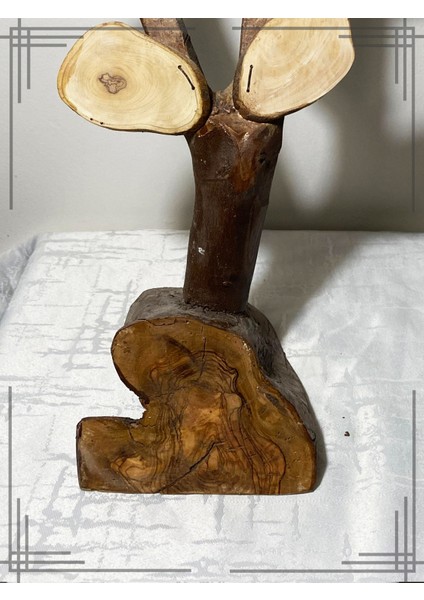 Öğretmenler Gününe Özel Tasarım Öğrenci Isimli Zeytin Ağacı indirimleri