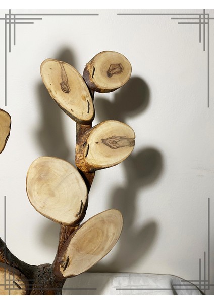 Öğretmenler Için Özel Tasarım Sınıf Ağacı Hediyesi Isimli Zeytin Ağacından fiyatları