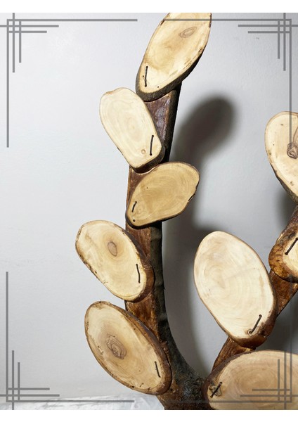 Öğretmenler Için Özel Tasarım Sınıf Ağacı Hediyesi Isimli Zeytin Ağacından modelleri