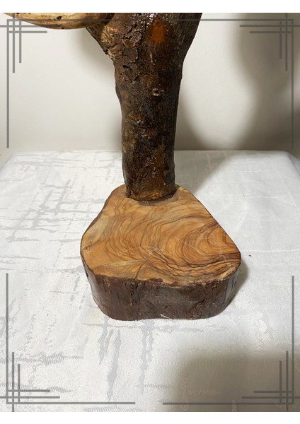 Öğretmenler Için Özel Tasarım Sınıf Ağacı Hediyesi Isimli Zeytin Ağacından fırsatları