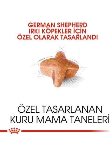 German Shepherd Alman Çobanköpeği Yetişkin Kuru Köpek Maması 11kg